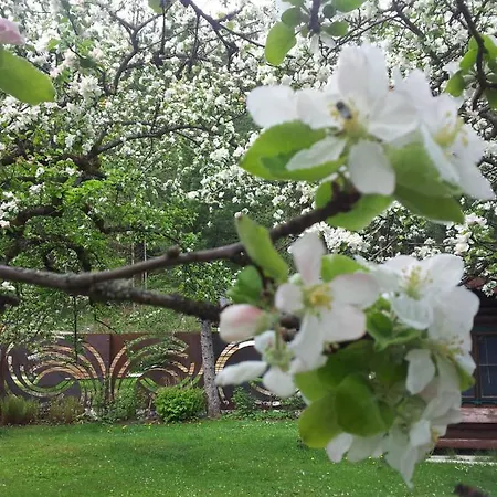 아파트 Jagd Trifft Moderne & Boutique Jardin *