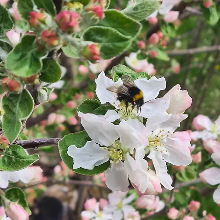 Jagd Trifft Moderne & Boutique Jardin 애나버그임라메탈