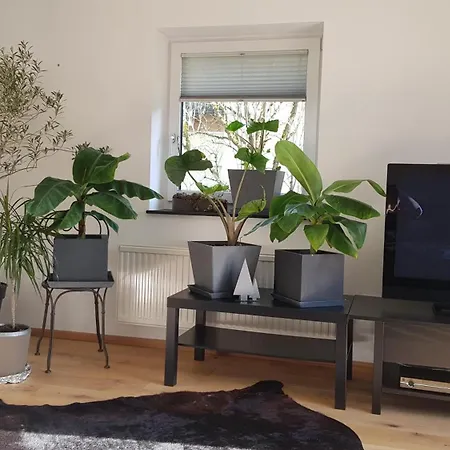 Jagd Trifft Moderne & Boutique Jardin *