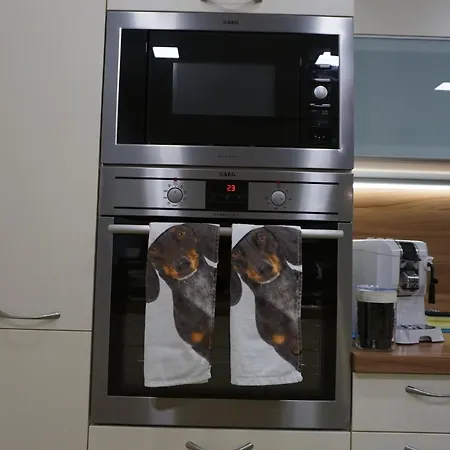 Jagd Trifft Moderne & Boutique Jardin * 애나버그임라메탈