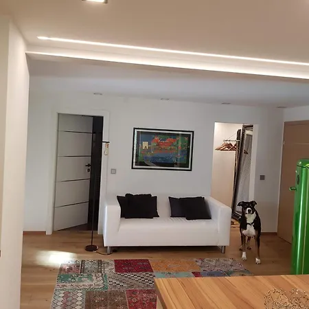 아파트 Jagd Trifft Moderne & Boutique Jardin 애나버그임라메탈