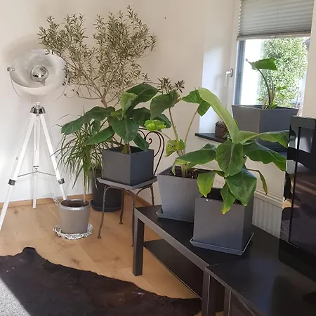 Jagd Trifft Moderne & Boutique Jardin *