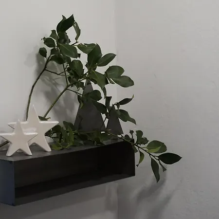 Jagd Trifft Moderne & Boutique Jardin アパート アンベルク・イム・ランマータール