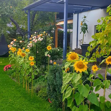 Jagd Trifft Moderne & Boutique Jardin *