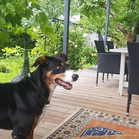 Jagd Trifft Moderne & Boutique Jardin 아파트 애나버그임라메탈